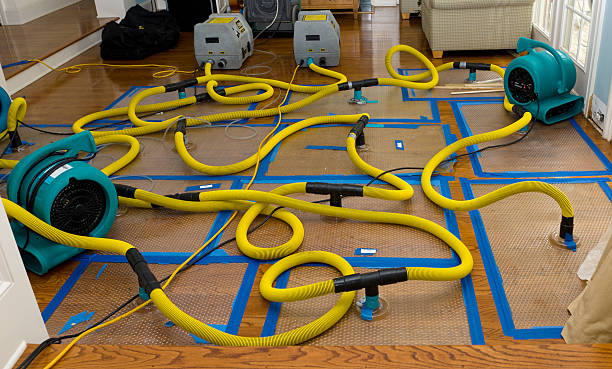 Professional Crawl Space Water Removal technician working in Mitchells, VA